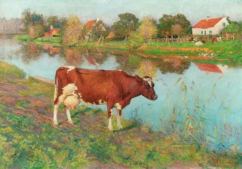 A Cow by the River Lys