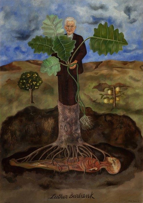 Portrait of Luther Burbank