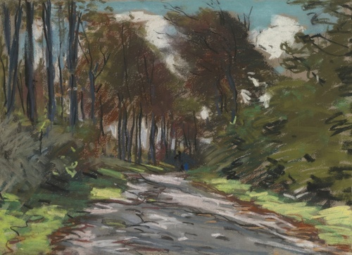 Pathway through the Grove