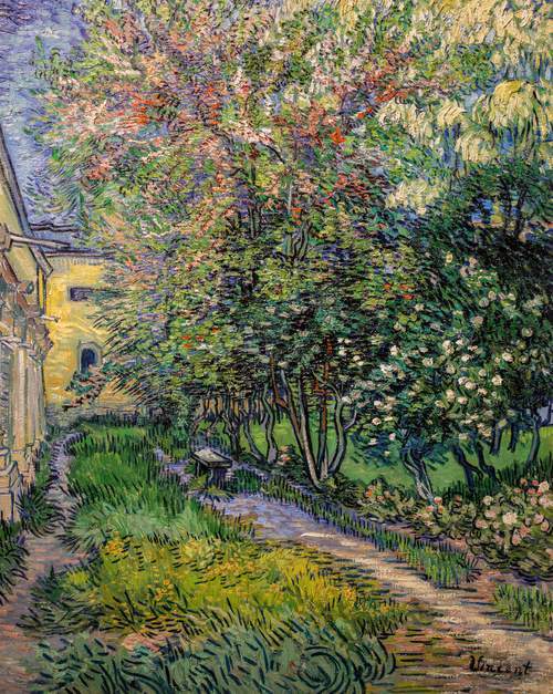 The garden at the asylum at Saint-Rémy