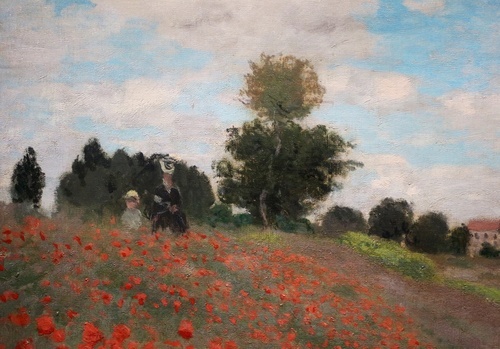Poppies