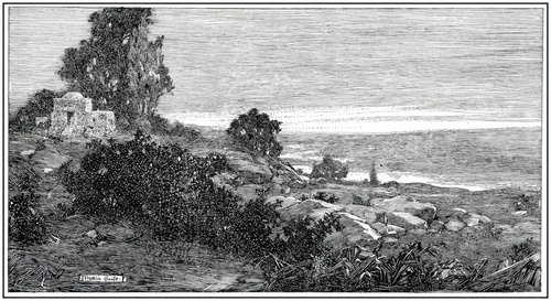 Scribners rimmo1908