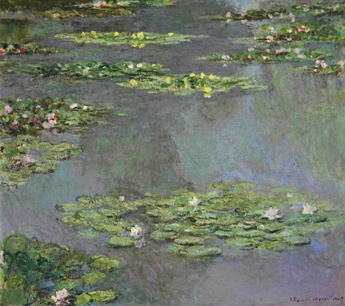 Water Lilies