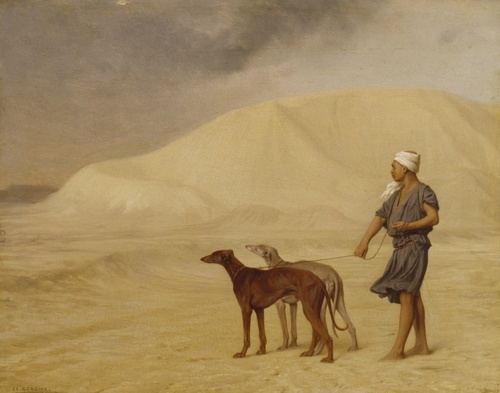 On the Desert