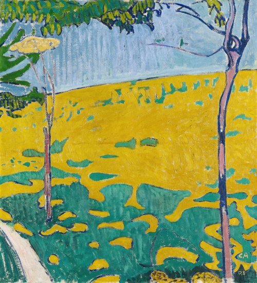 Dandelion Meadow
