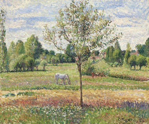 The Meadow with Grey Horse, Eragny