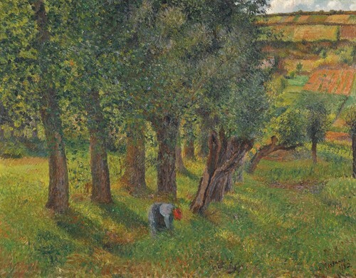 Cabbage Field at Pontoise