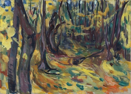 Elm Forest in Autumn