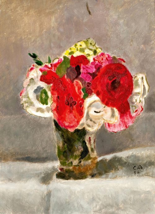 Mohn weiß und rot