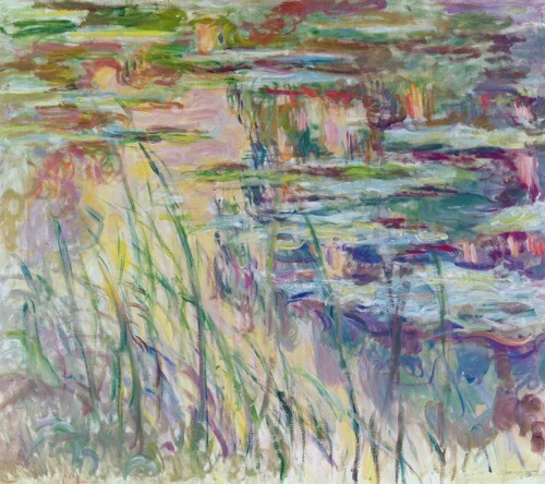 Water Lily Pond, Reflections over the Water