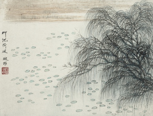 Willow by the Pond
