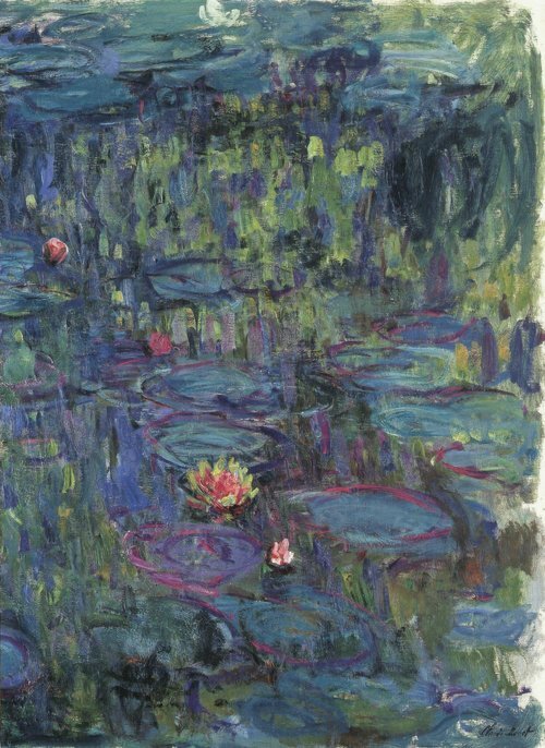 Water Lilies