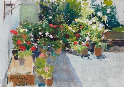 A Rooftop with Flowers