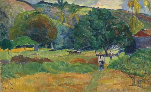 The Valley