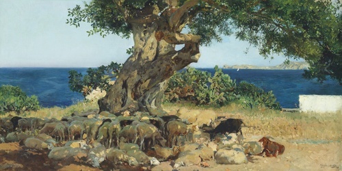 Carob tree