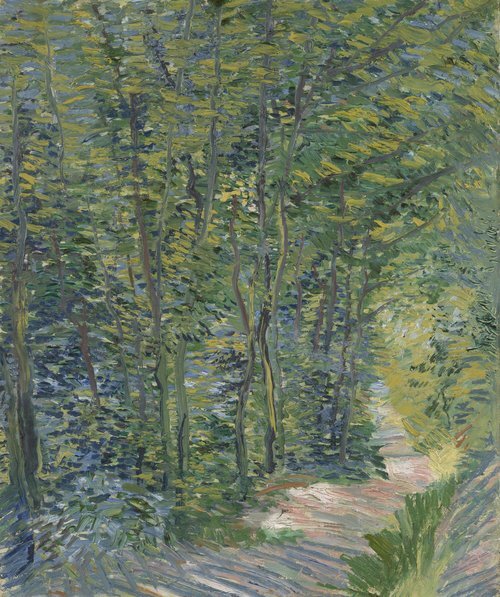Sentiero nel bosco