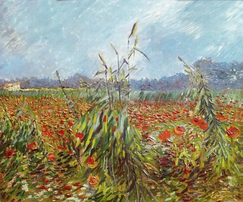 Green Ears of Wheat