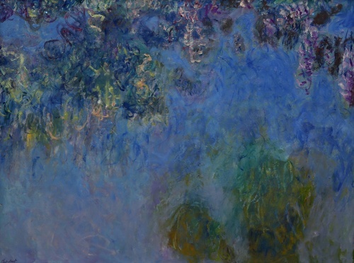Wisteria