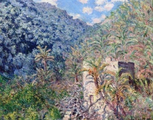 The Valley of Sasso- Olive Trees and Palm Trees