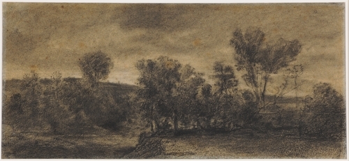 Wooded Landscape