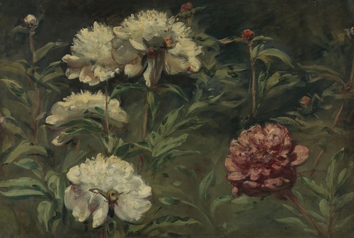 White and Red Peonies
