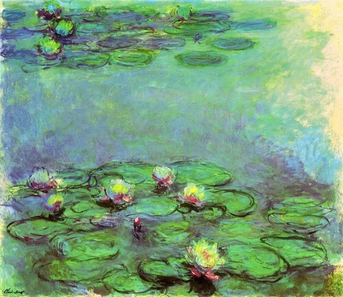 Water Lilies