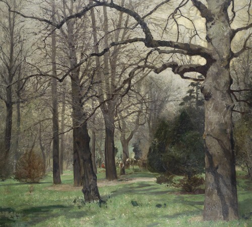 Woodland Scene