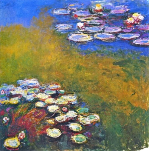 Water Lilies