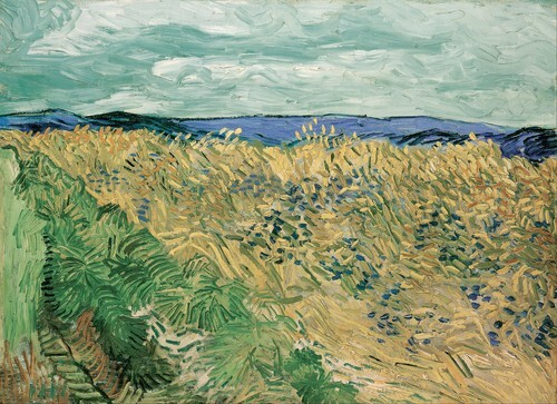 Campo di grano con fiordalisi