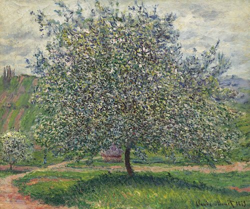 The apple tree