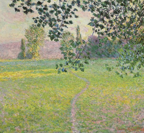 Paysage de matin