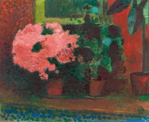Flower pots on the window sill