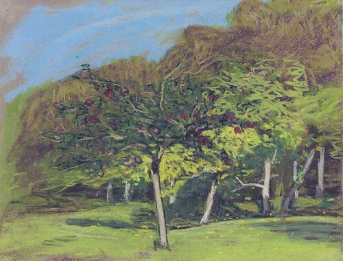 Fruit Trees