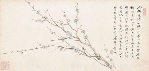 Plum Blossom
