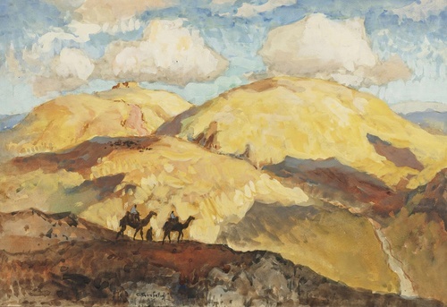 Camel Ride
