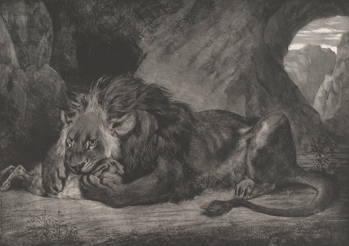 Lion of Atlas