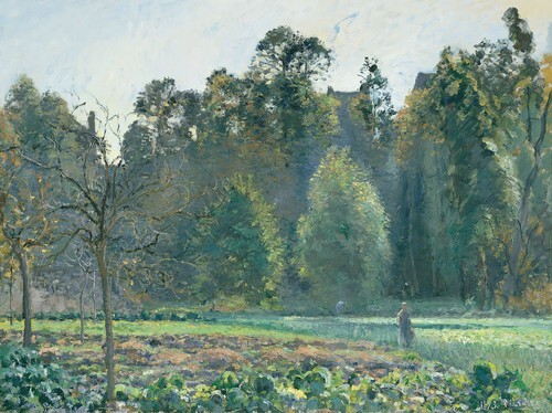 The Cabbage Field, Pontoise