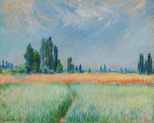 Tarweveld