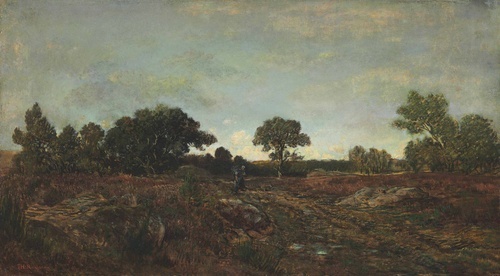 Path in the clearing among the heather