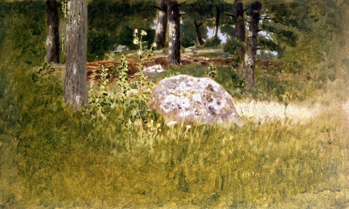 Skovkant