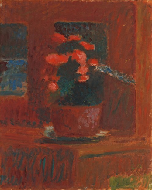 Begonias on Red Background