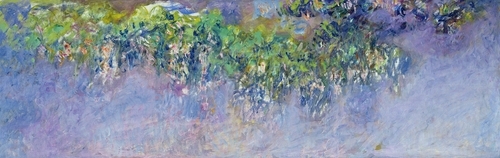 Wisteria