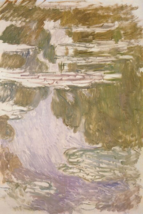 Water Lilies