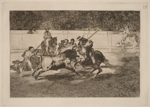 The Courageous Rendon Piercing a Bull, Whose Fate was Death in the Plaza de Madrid