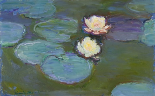 Water Lilies