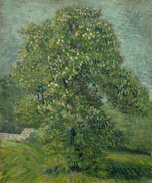Chestnut Tree in Blossom