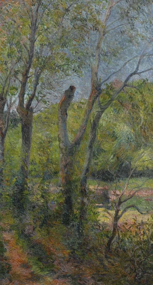 Willows