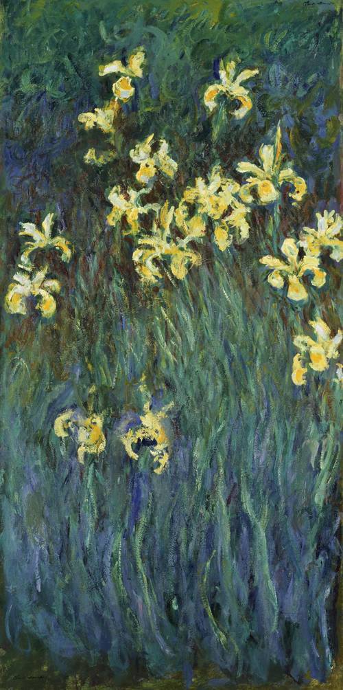 Yellow Irises