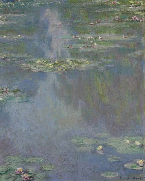 Water Lilies