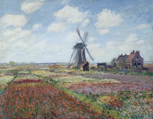 Tulpenvelden met de Rijnsburg-molen